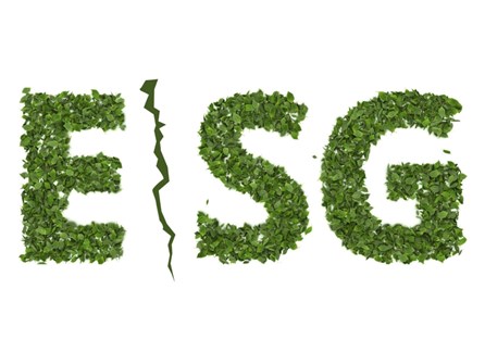 ESG 中的“S”和“G”怎么了？（第1部分）